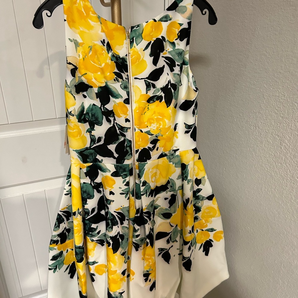 Fit and Flare dress by Taylor - Picture 2 of 3